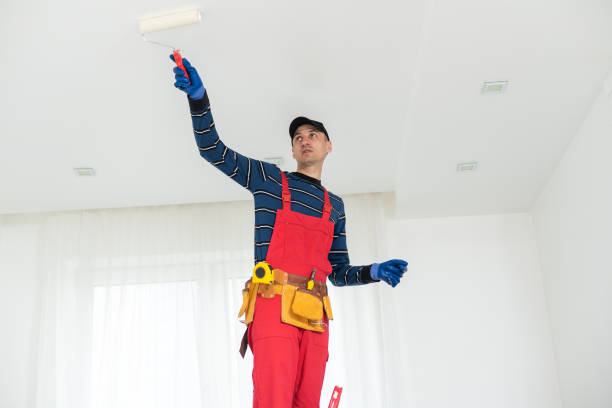 Best Mold Damage Restoration  in Gregory, TX