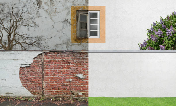 Best Water Damage & Mold Remediation  in Gregory, TX